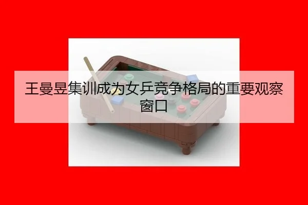 wang-man-yu-ji-xun-cheng-wei-nv-ping-jing-zheng-ge-ju-de-zhong-yao-guan-cha-chuang-kou-2-730.jpg